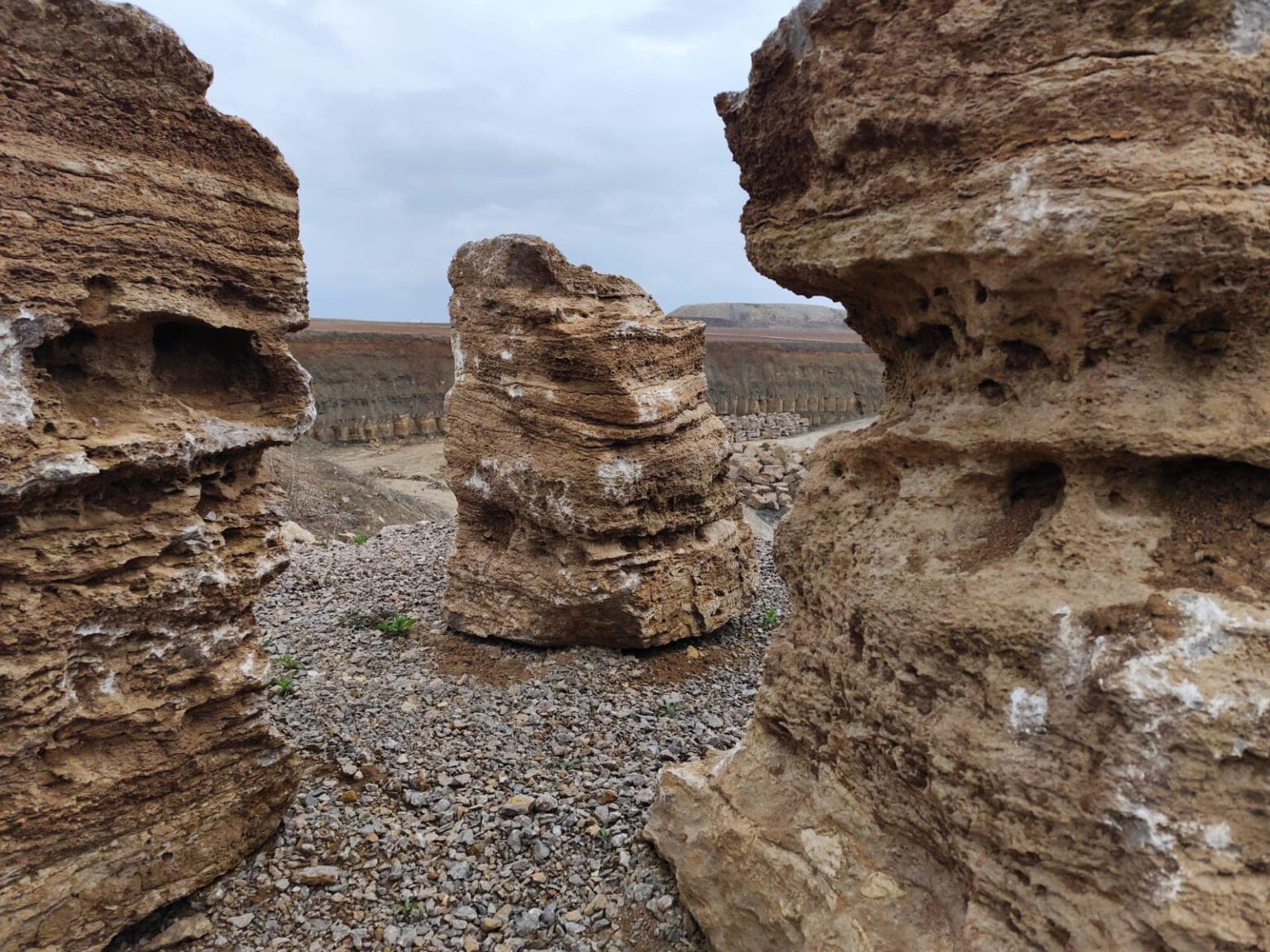 431107452_930111835789044_2355199841841491456_n